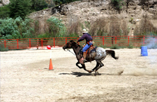 USA-New Mexico-Gila Cowgirl Camp